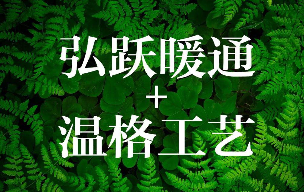 长沙弘跃暖通应邀参加2018年温格新品发布会！