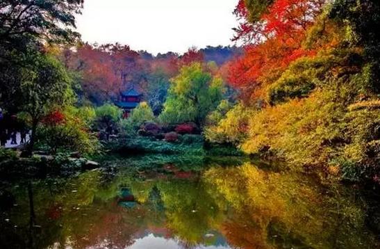 岳麓山爱晚亭图